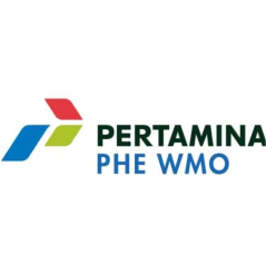 logo 13
